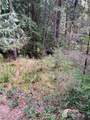 410 Mount Seattle Way - Photo 7