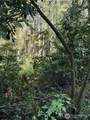 23125 River Drive - Photo 7