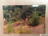 32241 Us Highway 101 - Photo 37