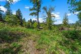 14308 Olalla Crest Lane - Photo 3