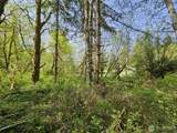 0 Lost Valley Road - Photo 9