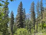 0 Icicle Road - Photo 11