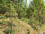 0 Icicle Road - Photo 7