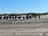 1406 Ocean Shores Boulevard - Photo 4