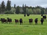 912 Middle Satsop Road - Photo 13