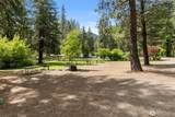 3300 Us Hwy 97 - Photo 16
