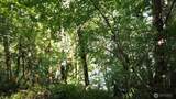 5710 Oyster Bay Road - Photo 13