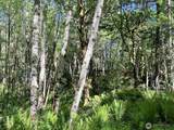 5710 Oyster Bay Road - Photo 28