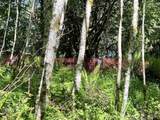 5710 Oyster Bay Road - Photo 8