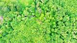 0 Lot 2 Ne Old Belfair Highway - Photo 8