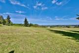 2884 Happy Valley Road - Photo 3