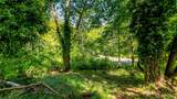 44 Raft Island Drive - Photo 24