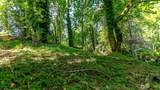 44 Raft Island Drive - Photo 25