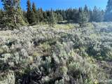 7 Gold Rush Ridge Road - Photo 4