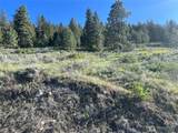 7 Gold Rush Ridge Road - Photo 10