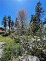 197 Cameron Lake Loop Road - Photo 40