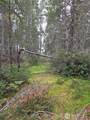 490 Pinedirosa Road - Photo 5