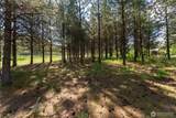 2625 TBD Hwy 153 - Photo 18