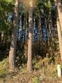 3 Huckleberry Lane - Photo 6