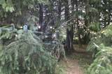 0 South Valley Road - Photo 9