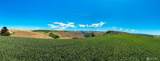 0 Lot 3 Biscuit Ridge Road - Photo 6