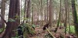 28 xxx State Hwy 104 - Photo 1