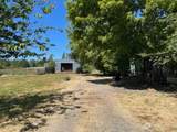 320 Pine Tree Road - Photo 12
