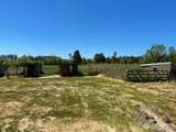 320 Pine Tree Road - Photo 5