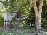 320 Pine Tree Road - Photo 8