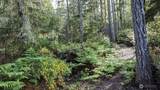 230 Blackberry Lane - Photo 3