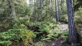 230 Blackberry Lane - Photo 4