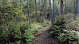 230 Blackberry Lane - Photo 5