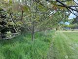 9999 Thornton Drive - Photo 7