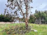 0 Andrew Avenue - Photo 13