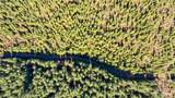 4 Jones Creek Road - Photo 11