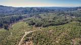 4 Jones Creek Road - Photo 19