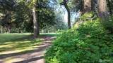29 J View Place - Photo 19