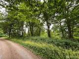29 J View Place - Photo 4