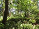 5033 Polehn Road - Photo 17