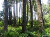 5033 Polehn Road - Photo 3