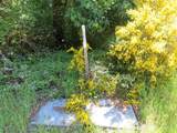 5033 Polehn Road - Photo 26