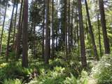 5033 Polehn Road - Photo 4