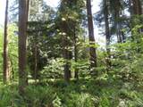 5033 Polehn Road - Photo 8