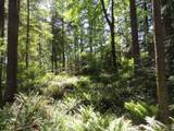 5033 Polehn Road - Photo 10