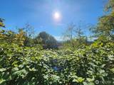 4733 Green Mountain Road - Photo 16