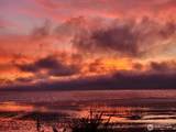 374 Harbor View Loop - Photo 40