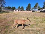 729 Wood Duck Avenue - Photo 8