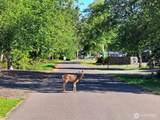 729 Wood Duck Avenue - Photo 9