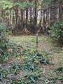 1012 Sunset Street - Photo 2