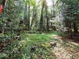 0 University Point Circle - Photo 6